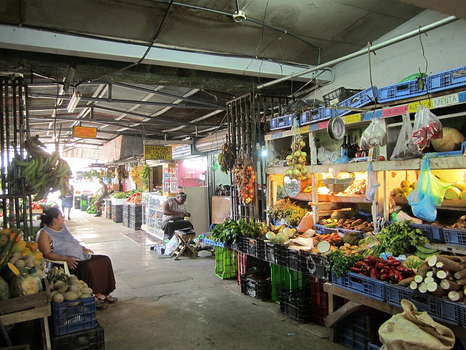 Puerto Limón — local market for international and multi-region stores