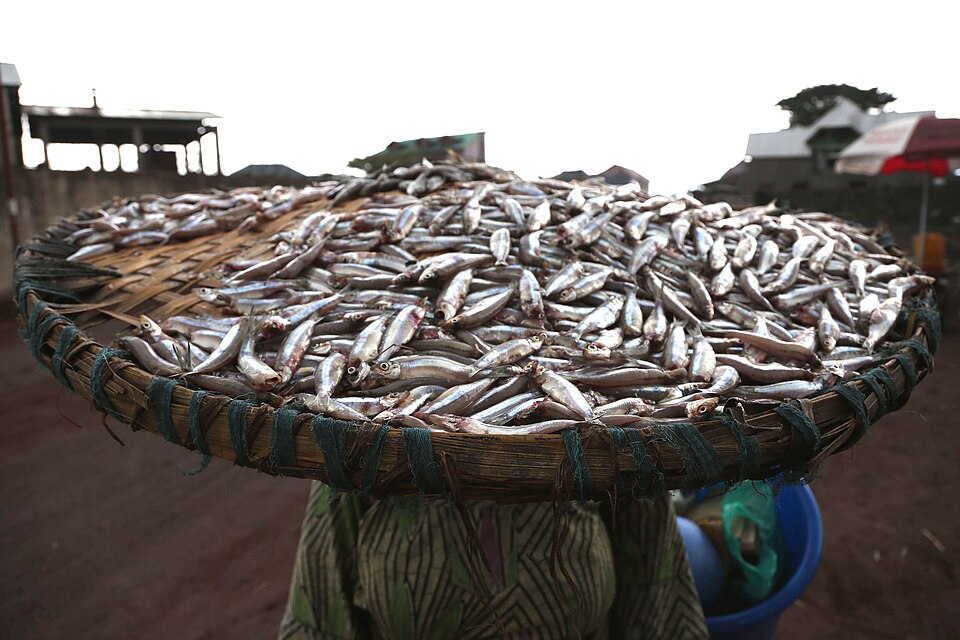 Goma — local market for mobile commerce apps