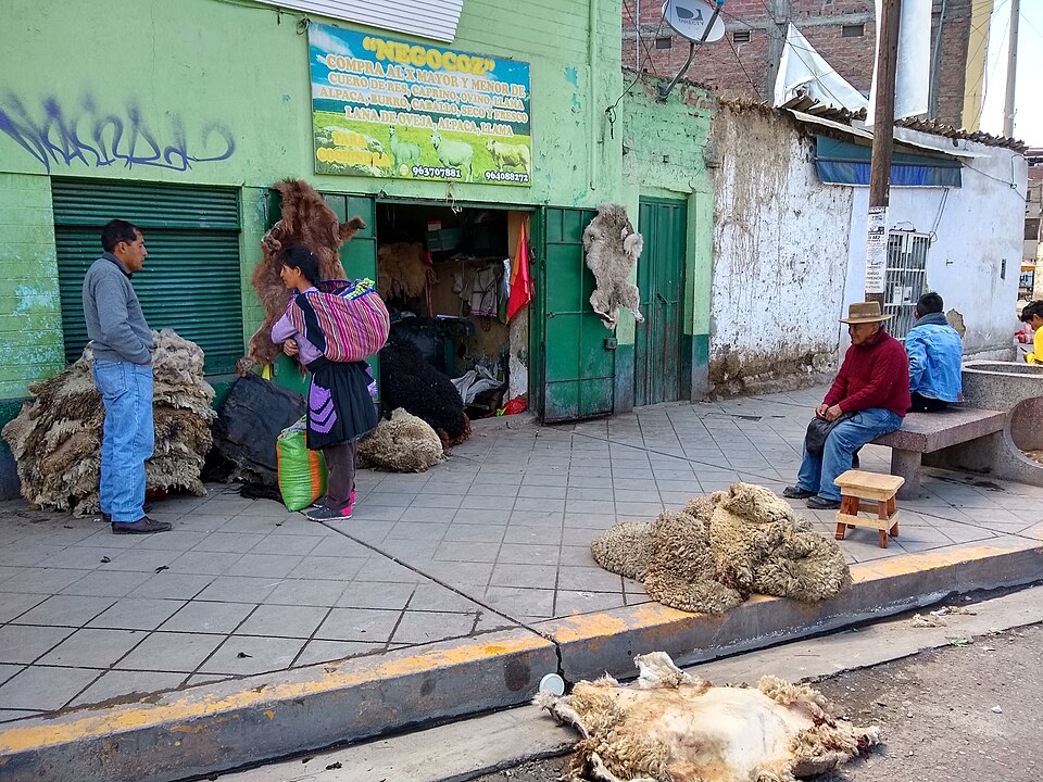 Huancayo — custom e-commerce platforms for local businesses