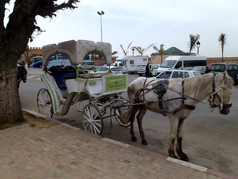 Meknes — local market for B2B and wholesale portals