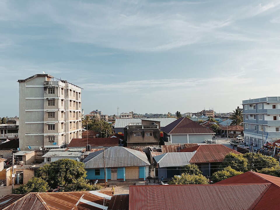 Tanga — local market for online stores