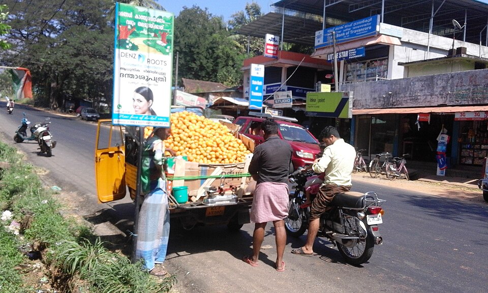 Palakkad — local market for service booking platforms