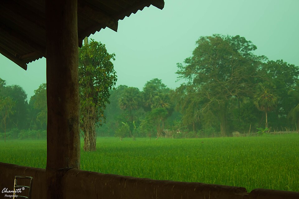 Anuradhapura — subscription and membership platforms for local businesses