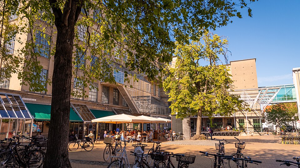 Odense — international and multi-region stores for local businesses