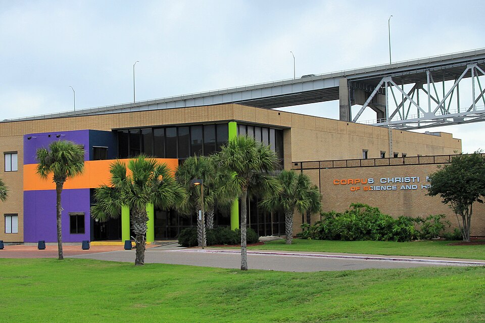 Corpus Christi — local market for custom e-commerce platforms