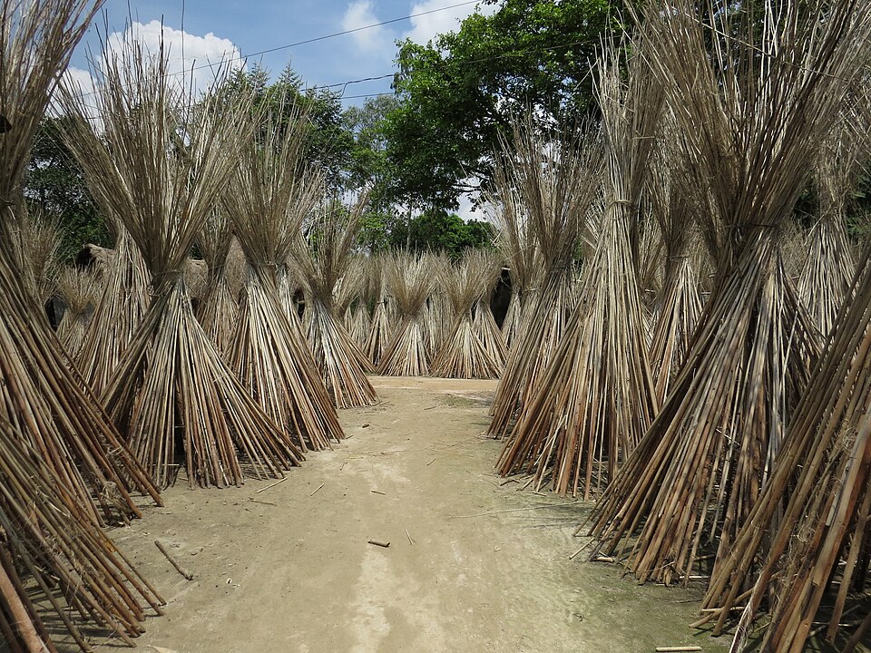 Bangladesh — B2B and wholesale portals for local businesses