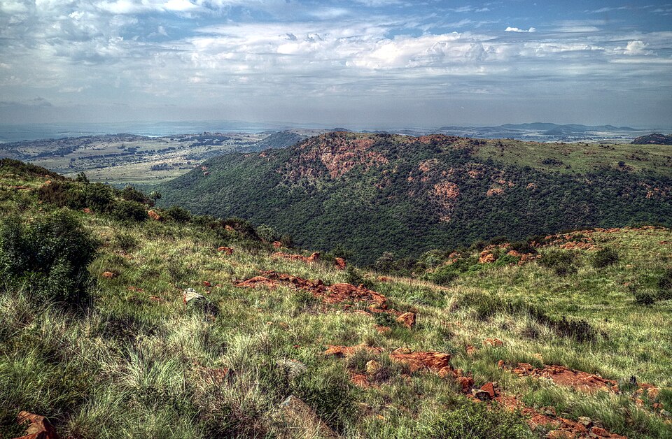 South Africa — local market for online stores