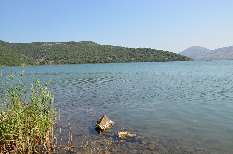 Albania — B2B and wholesale portals for local businesses