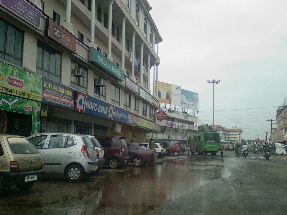 Pathanamthitta — manufacturer and distributor portals for local businesses