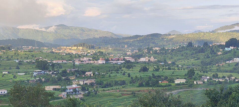 Champawat — local market for online stores
