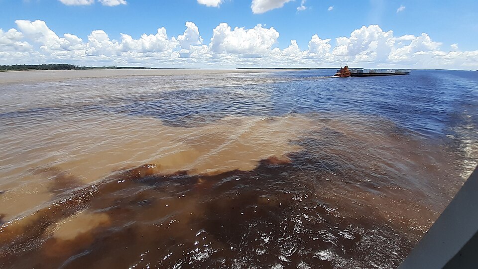 Manaus — multi-vendor marketplaces for local businesses