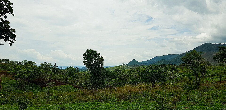 Cameroon — local market for online stores