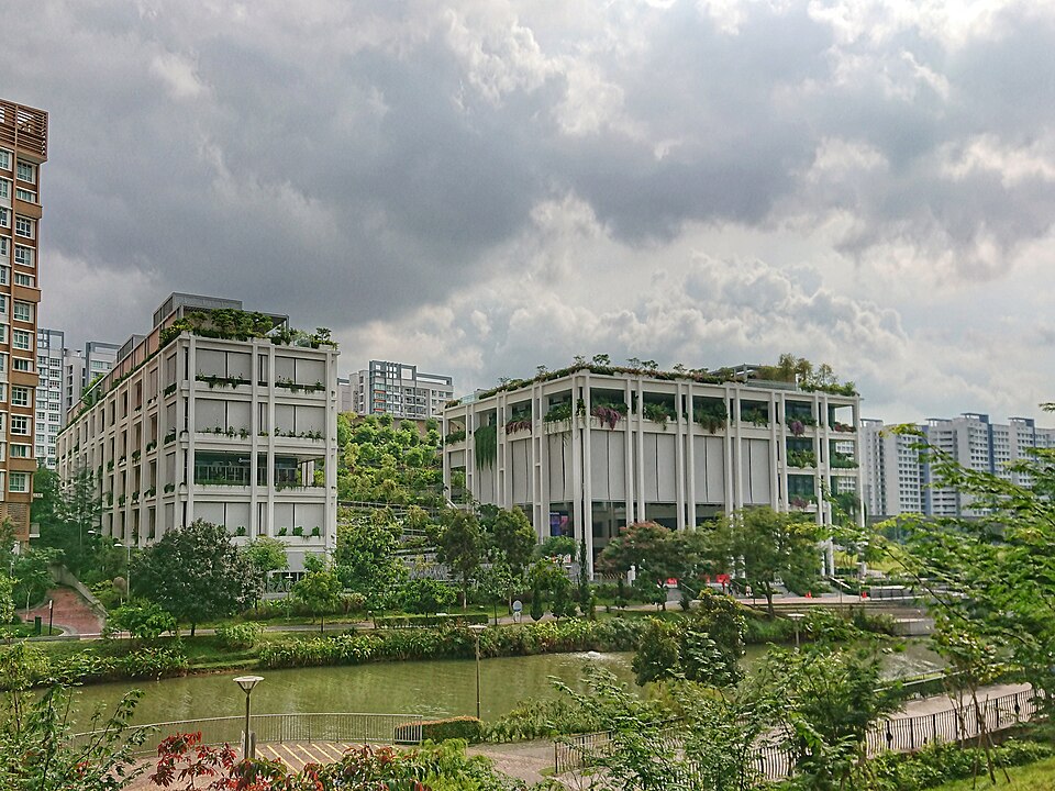 Punggol — local market for custom e-commerce platforms