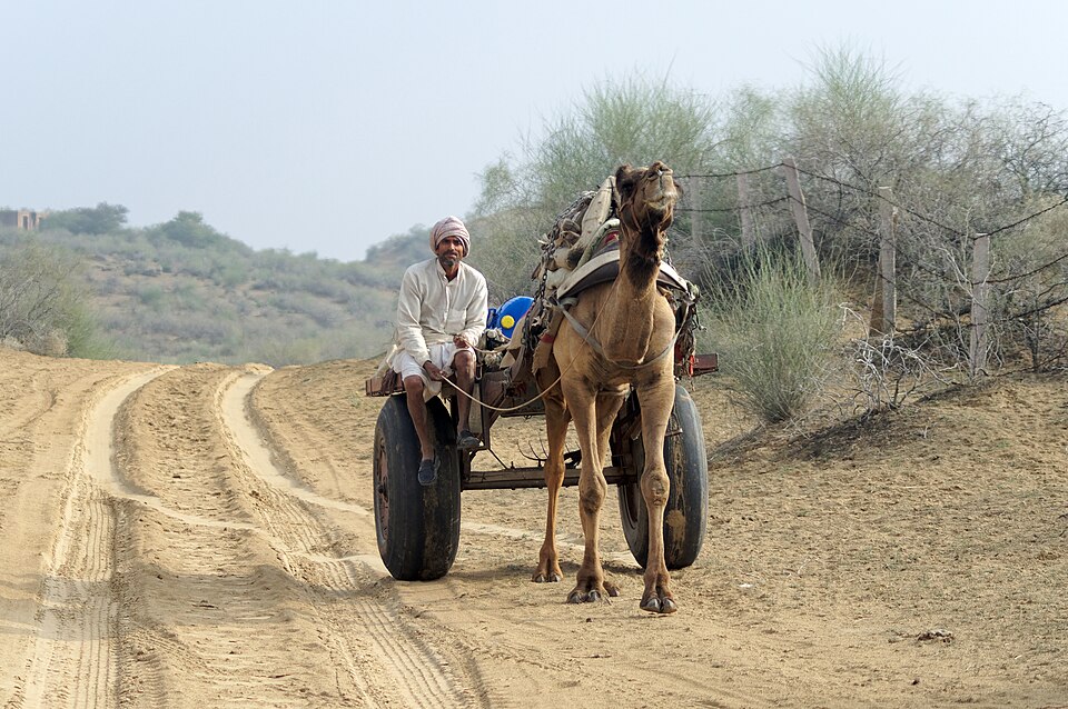 Bikaner — local market for multi-vendor marketplaces