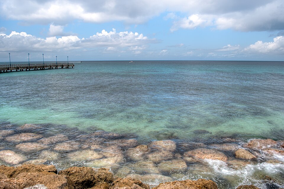 Speightstown — local market for B2B and wholesale portals
