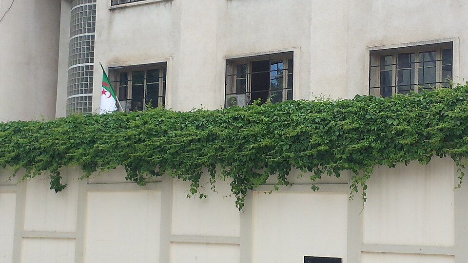 Annaba — online stores for local businesses