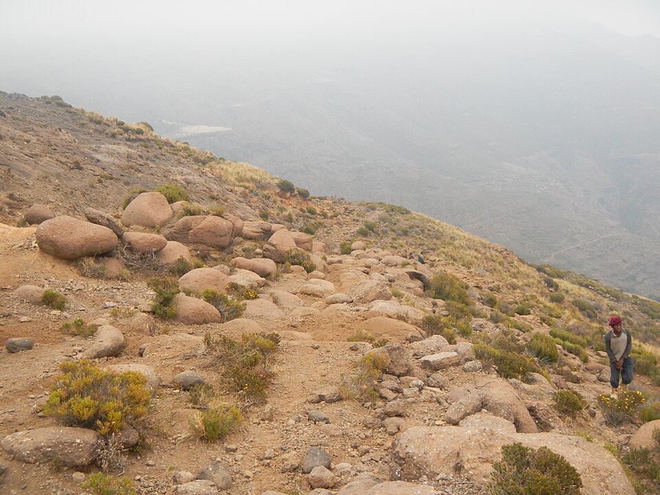Lesotho — local market for manufacturer and distributor portals