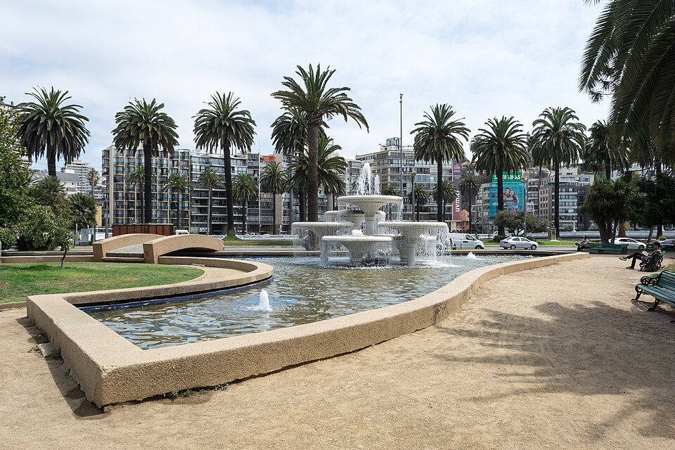Viña del Mar — local market for service booking platforms