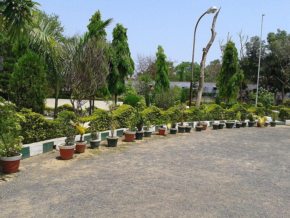 Ambikapur — local market for subscription and membership platforms