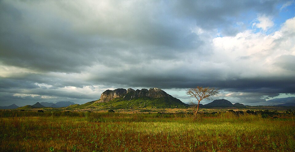 Malawi — local market for service booking platforms