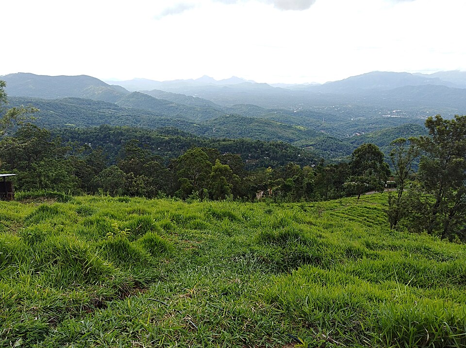 Sri Lanka — international and multi-region stores for local businesses