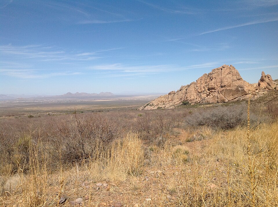Las Cruces — international and multi-region stores for local businesses