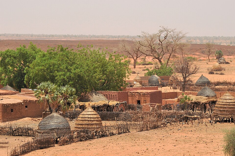 Niger — mobile commerce apps for local businesses