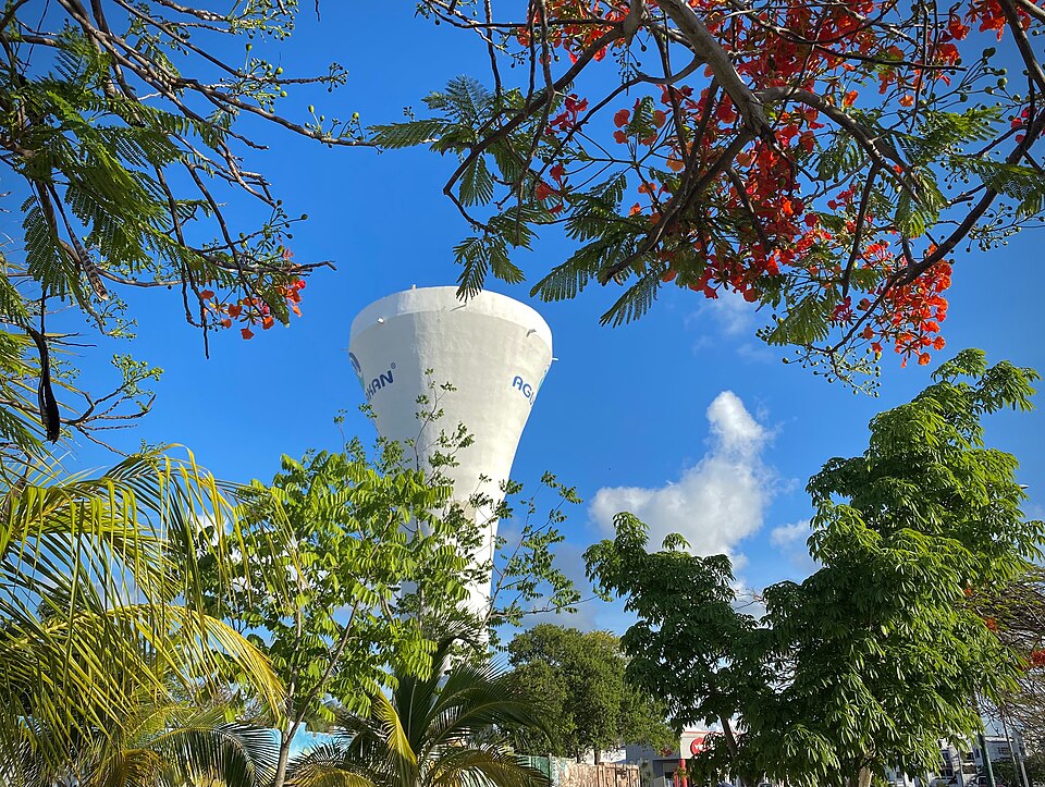 Cancún — international and multi-region stores for local businesses
