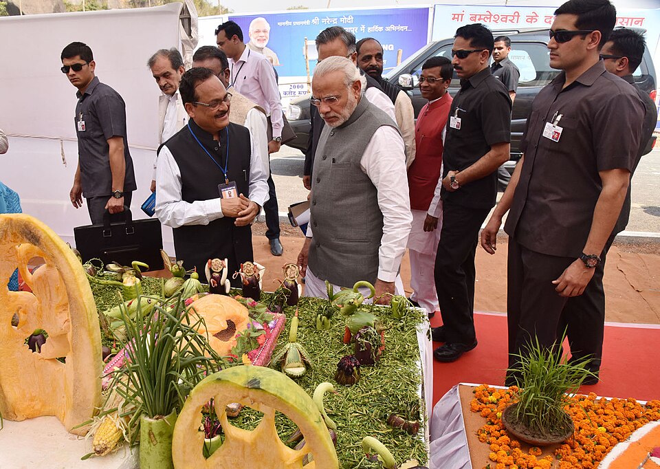 Rajnandgaon — local market for service booking platforms