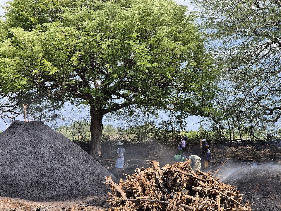 Thoothukudi — local market for multi-vendor marketplaces