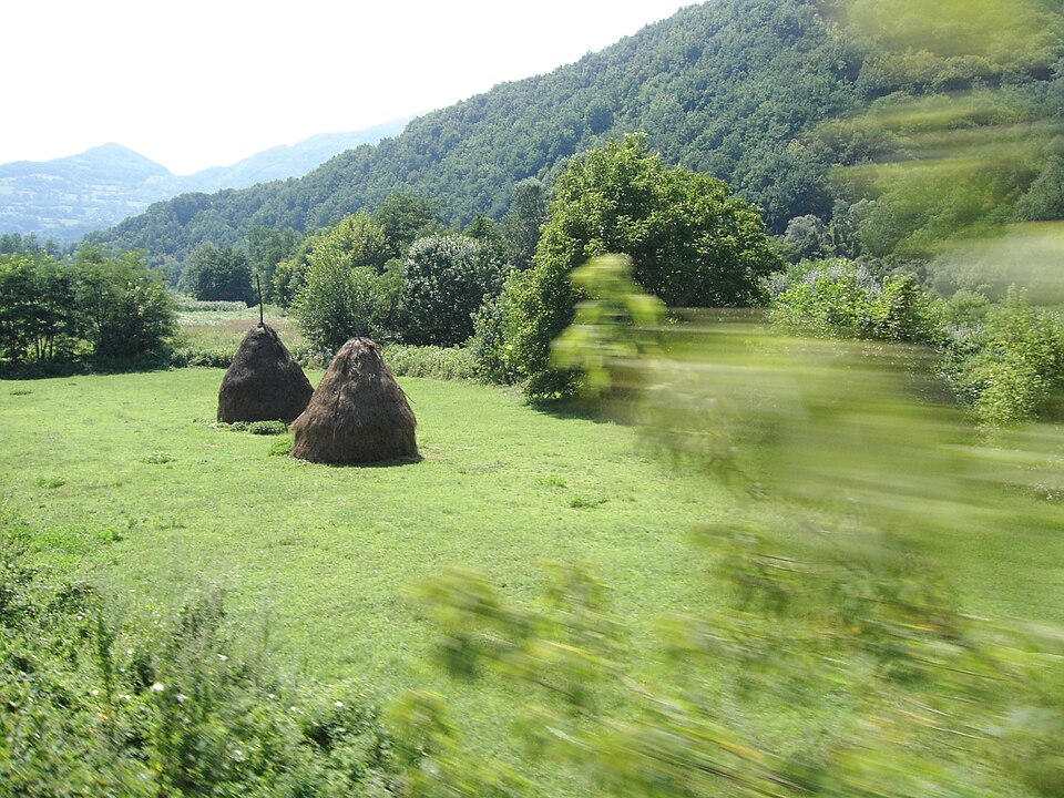 Serbia — local market for multi-vendor marketplaces