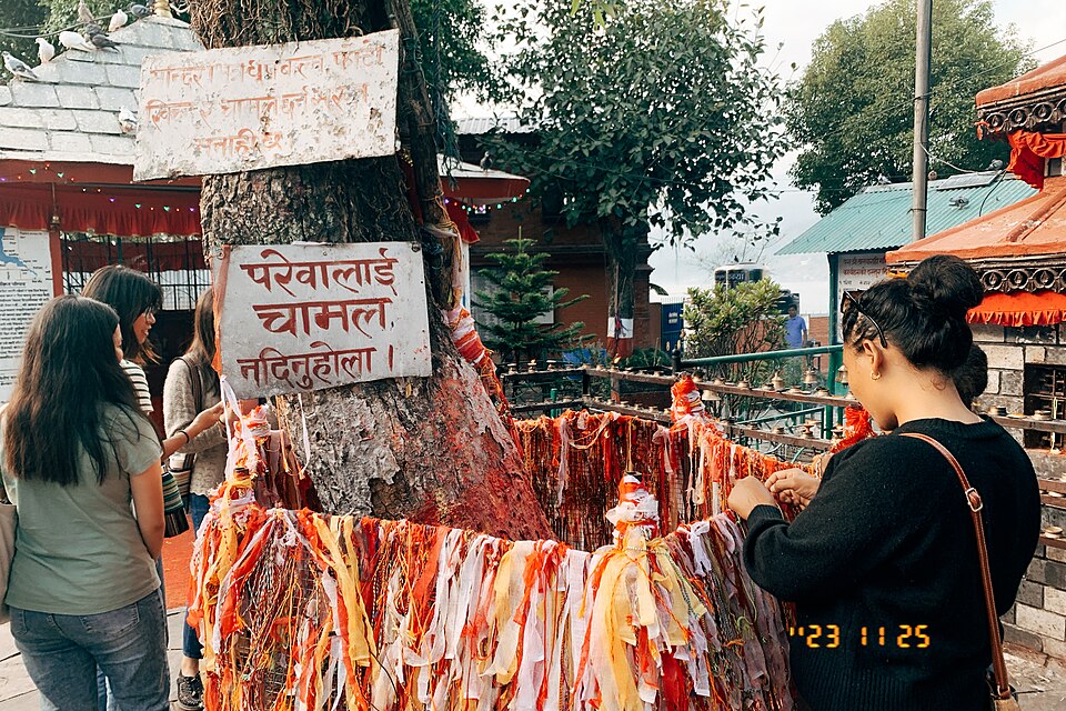 Pokhara — custom e-commerce platforms for local businesses
