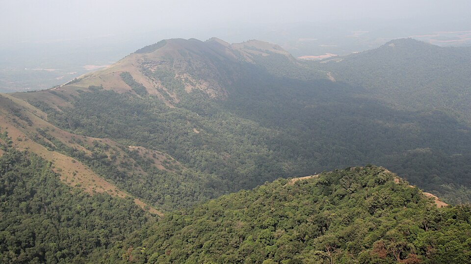Shivamogga — local market for multi-vendor marketplaces