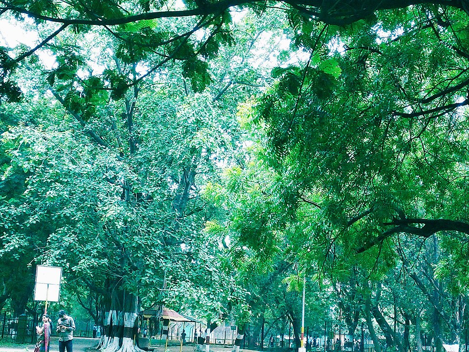 Bhilai — B2B and wholesale portals for local businesses