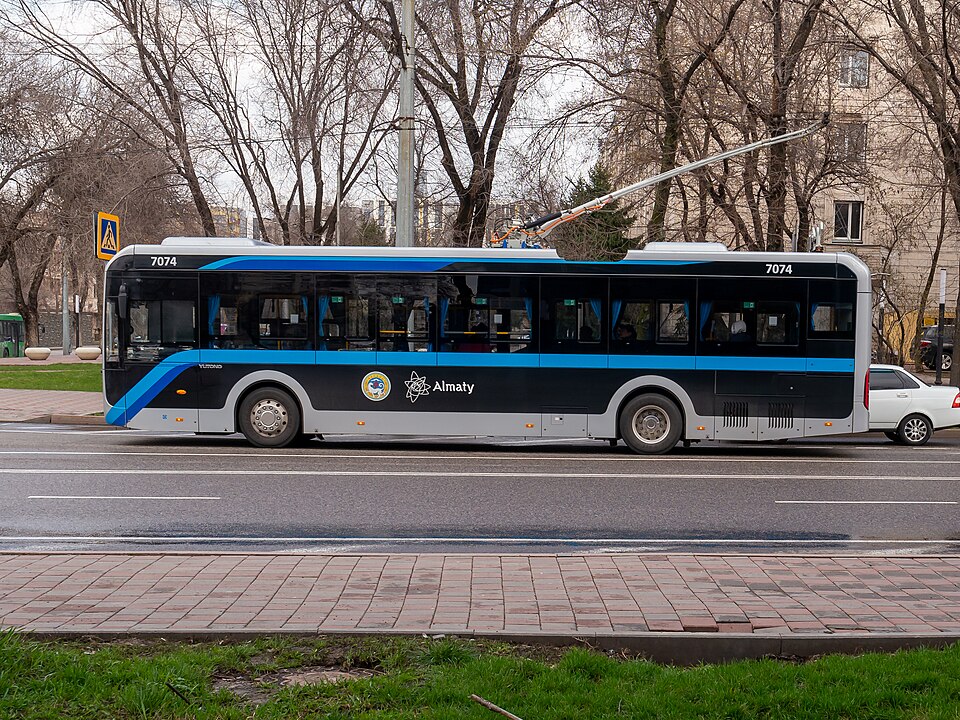 Almaty — local market for service booking platforms