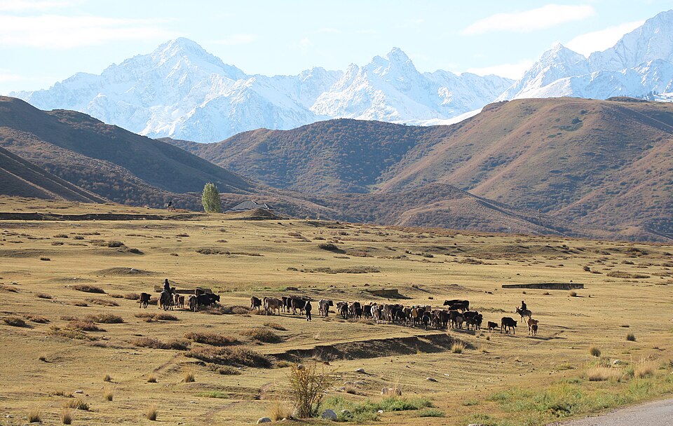 Kyrgyzstan — local market for online stores