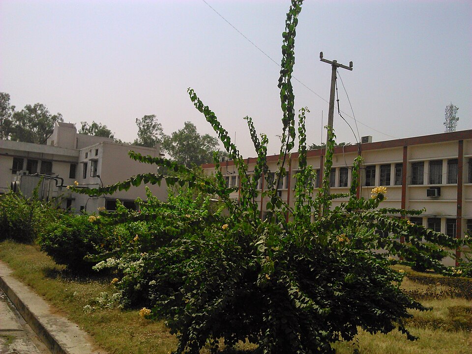 Durgapur — B2B and wholesale portals for local businesses