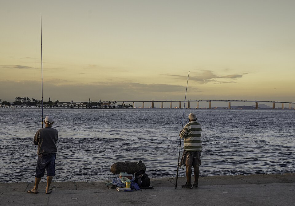 Rio de Janeiro — multi-vendor marketplaces for local businesses