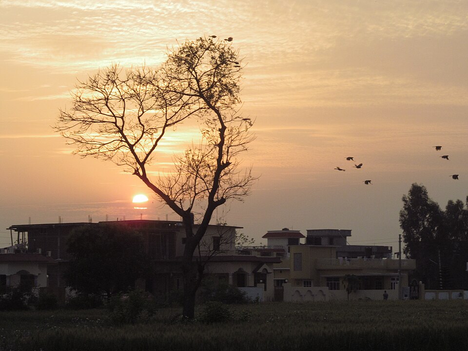 Haldwani — subscription and membership platforms for local businesses