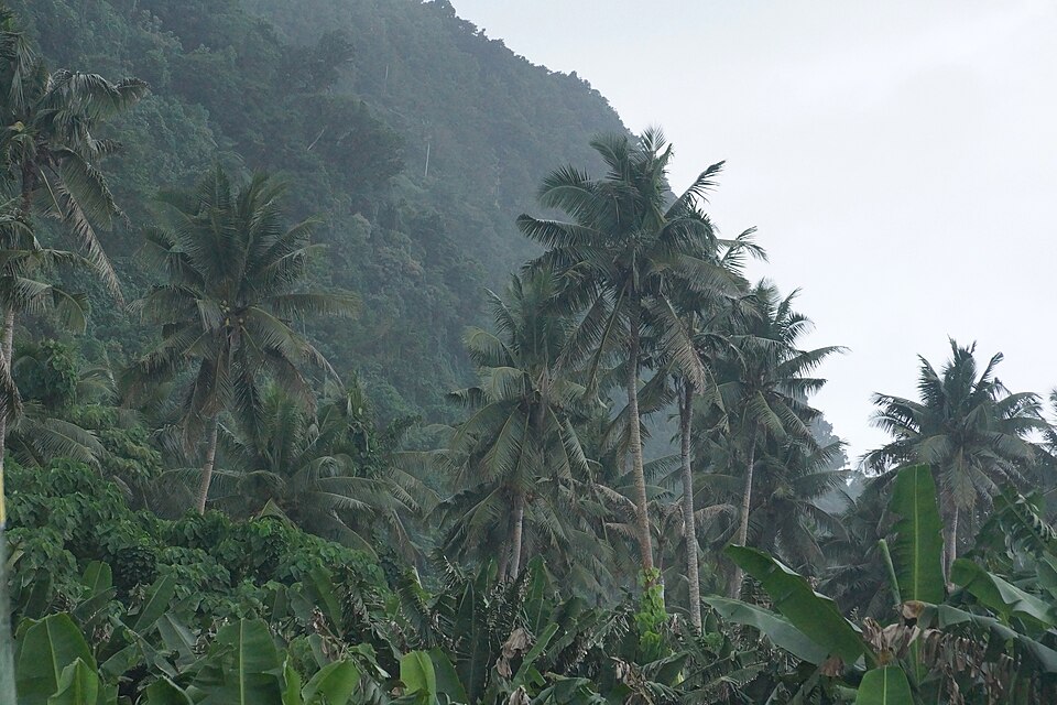 Samoa — local market for online stores