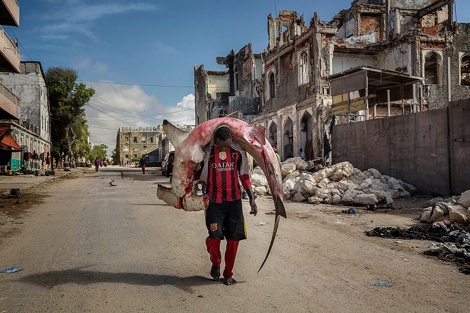 Mogadishu — local market for B2B and wholesale portals