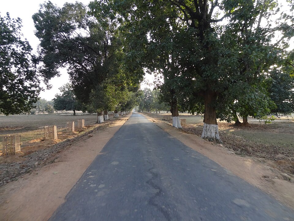 Rourkela — service booking platforms for local businesses