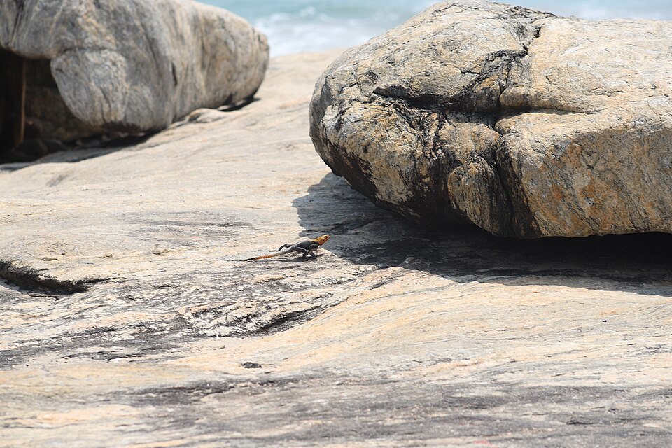 San-Pédro — local market for B2B and wholesale portals