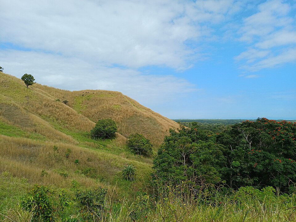 Fiji — local market for online stores