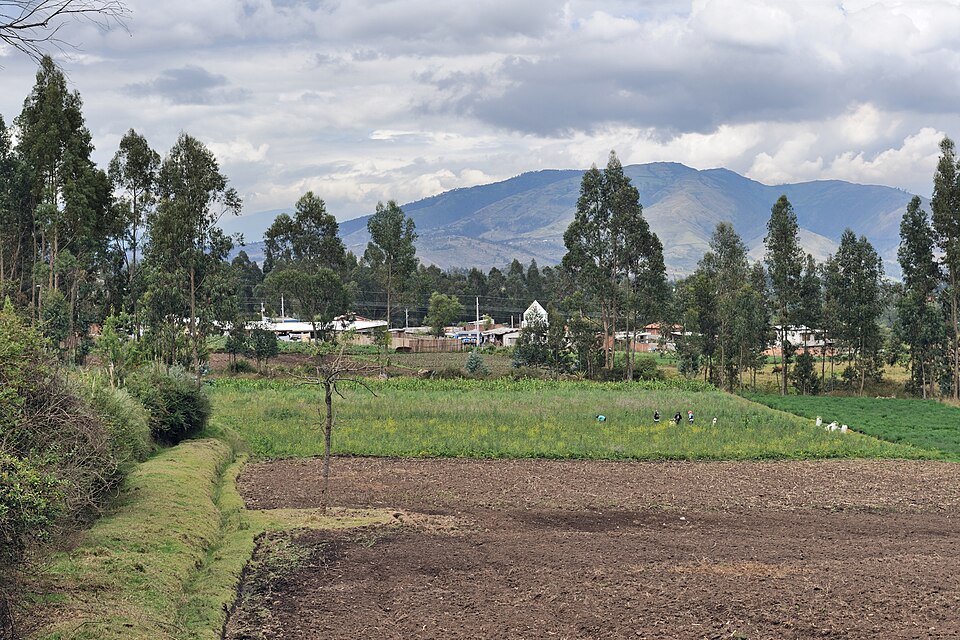 Ecuador — local market for online stores