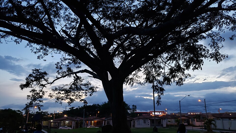 La Chorrera — local market for service booking platforms