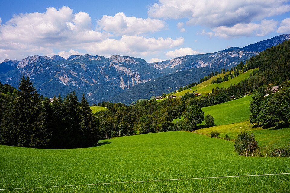 Austria — local market for mobile commerce apps