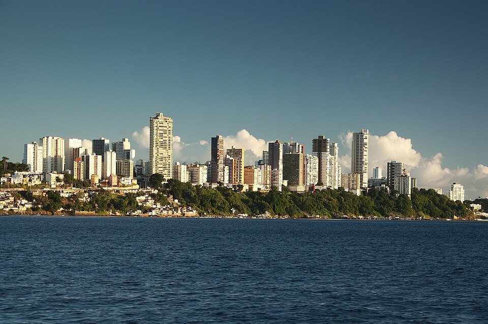 Salvador — service booking platforms for local businesses