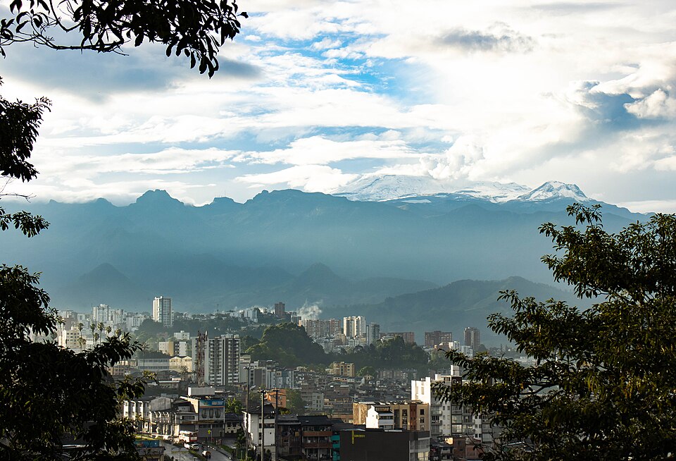 Manizales — local market for manufacturer and distributor portals