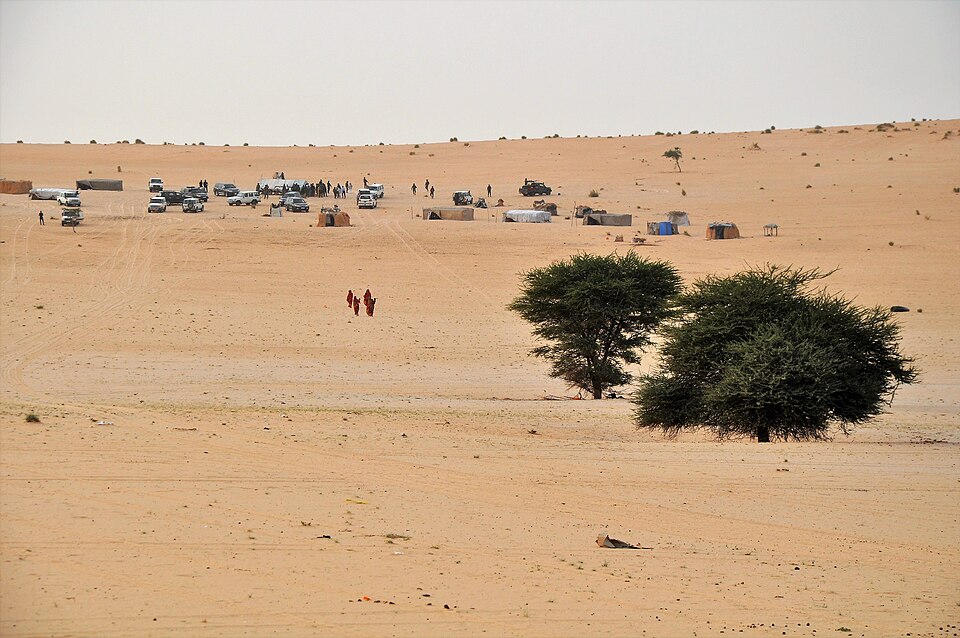 Zinder — local market for international and multi-region stores